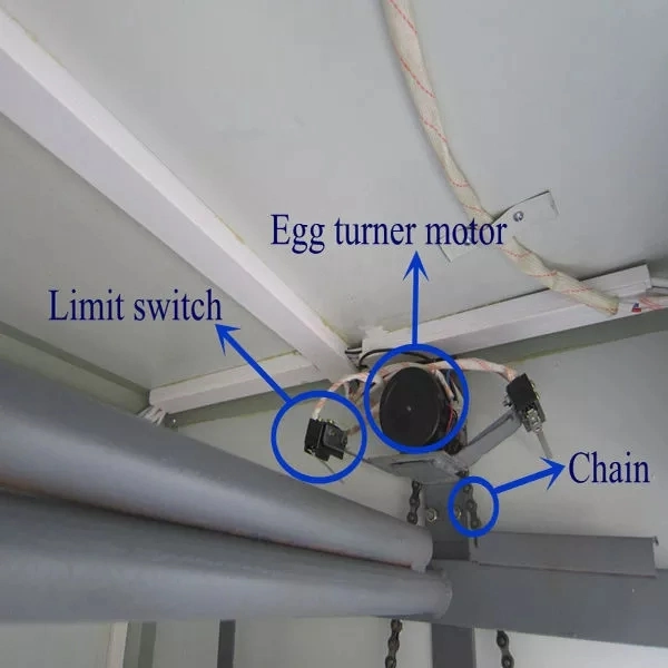 Factory Egg Incubator More Than 2000 Eggs Incubator Hatching Machine Incubator Hatching Brooder