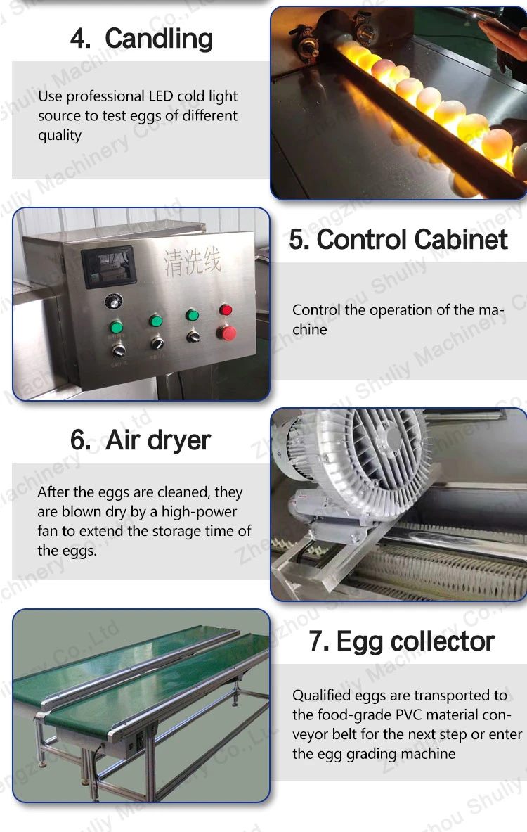 Commercial Chicken Egg Cleaning and Sorting Machine for Hot Sale