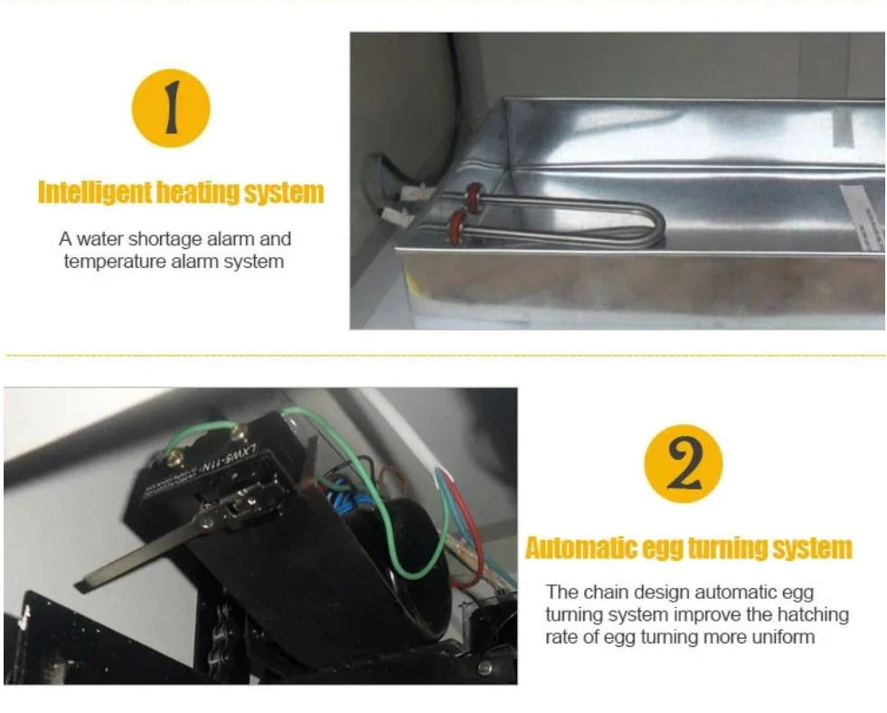 Big Discount Egg Incubator Mini/Mini Chicken Incubator