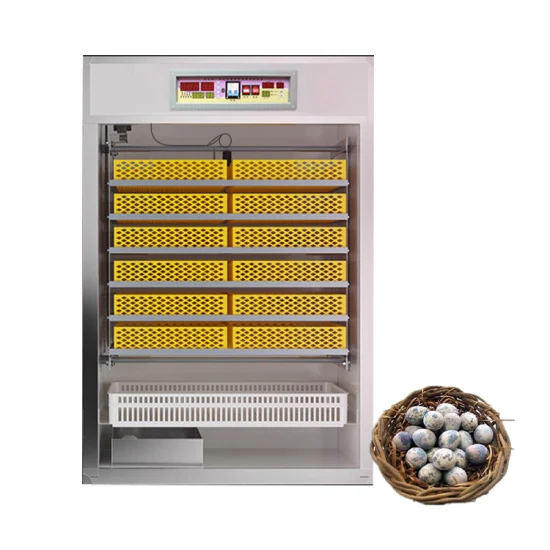 Mini Incubateur Incubateur pour Oeufs Incubateurs d'Oeufs avec Plateaux