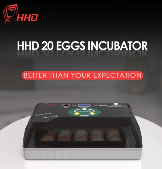 Incubateur de poulet 600 lumière LED Egg Candler H600