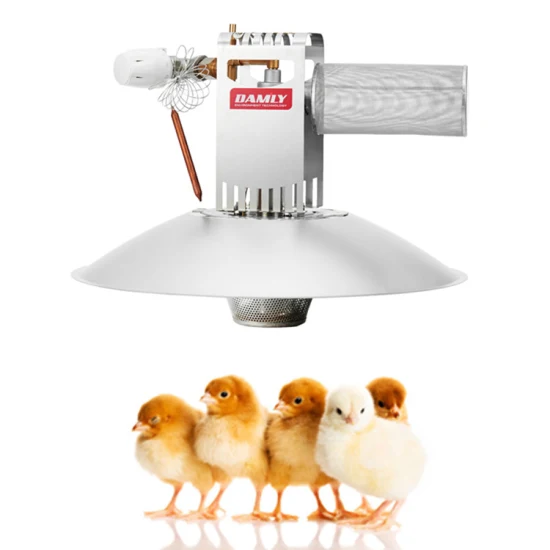 Réchauffeur de couveuse de poussins à chaleur rayonnante avec thermostat pour ferme avicole