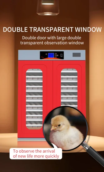 Couveuse de poulet incubateur Hhd rouge chinoise la plus vendue à Dubaï