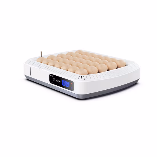 Nouveau mini incubateur d'oeufs automatique pour l'éclosion des oeufs de poulet Jjc-35