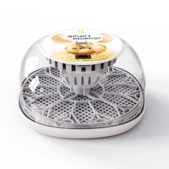 Mini incubateur d'oeufs de volaille Hhd pour machine à couver