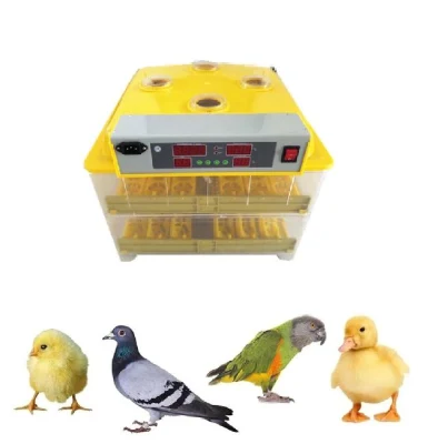 CE a approuvé le mini incubateur automatique de 112 oeufs pour des oeufs de poulet