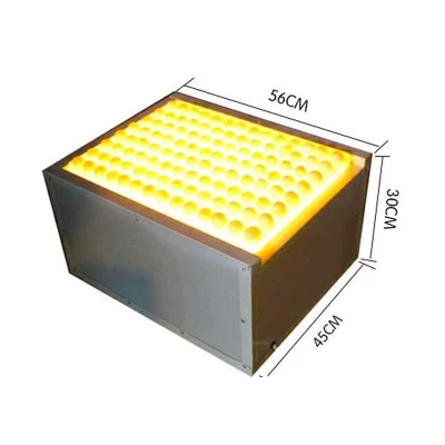 Table d'incubateur à 88 oeufs Testeur de bougies à oeufs couramment utilisé