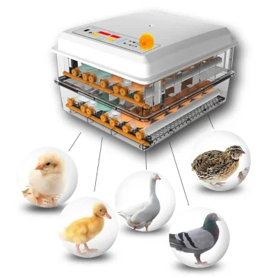 220V oeufs incubateur couveuse oiseau caille poussin écloserie incubateur volaille éclosoir tourneur automatique ferme incubateur outils ue/états-unis