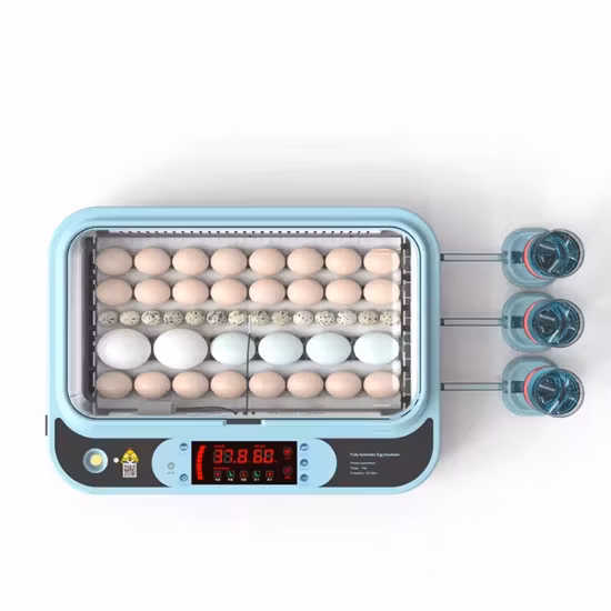 Équipement de volaille Mini petit incubateur d'oeufs Incubateur de petite capacité