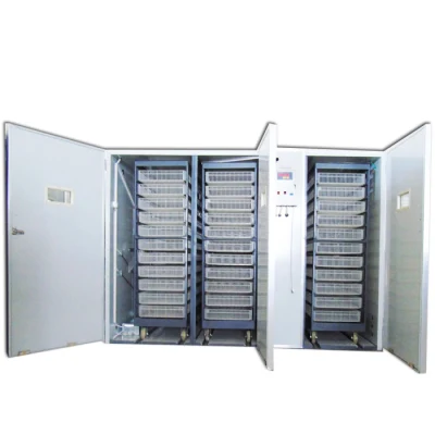 Accessoires entièrement automatiques d'incubateur d'armoire de capteur de température de poulet de caille