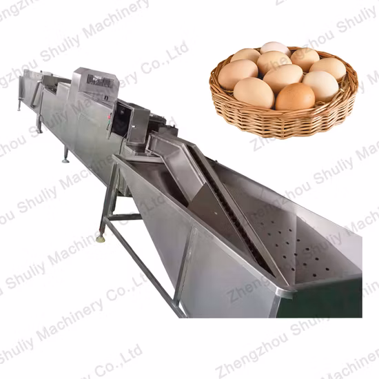 Ligne de production de tri de machine de nettoyage de lavage d'oeufs de poulet industriel